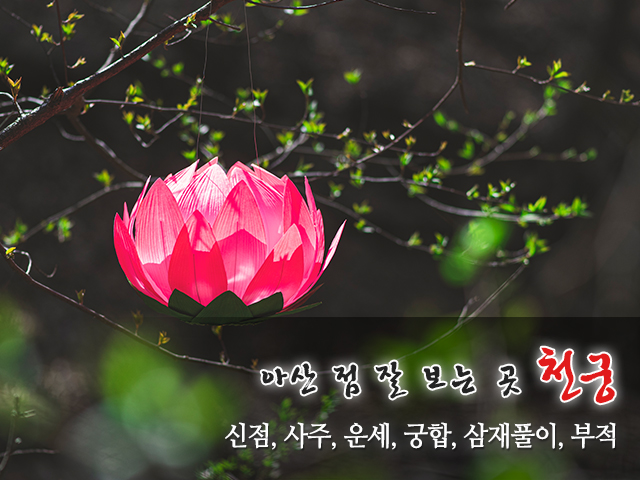 20250319194804_BztONjsA.jpg_carousel_아산점잘보는곳_천궁,아산점잘보는곳,아산점잘보는집,아산용한점집,아산유명한점집,신점,사주,운세,궁합,삼재풀이